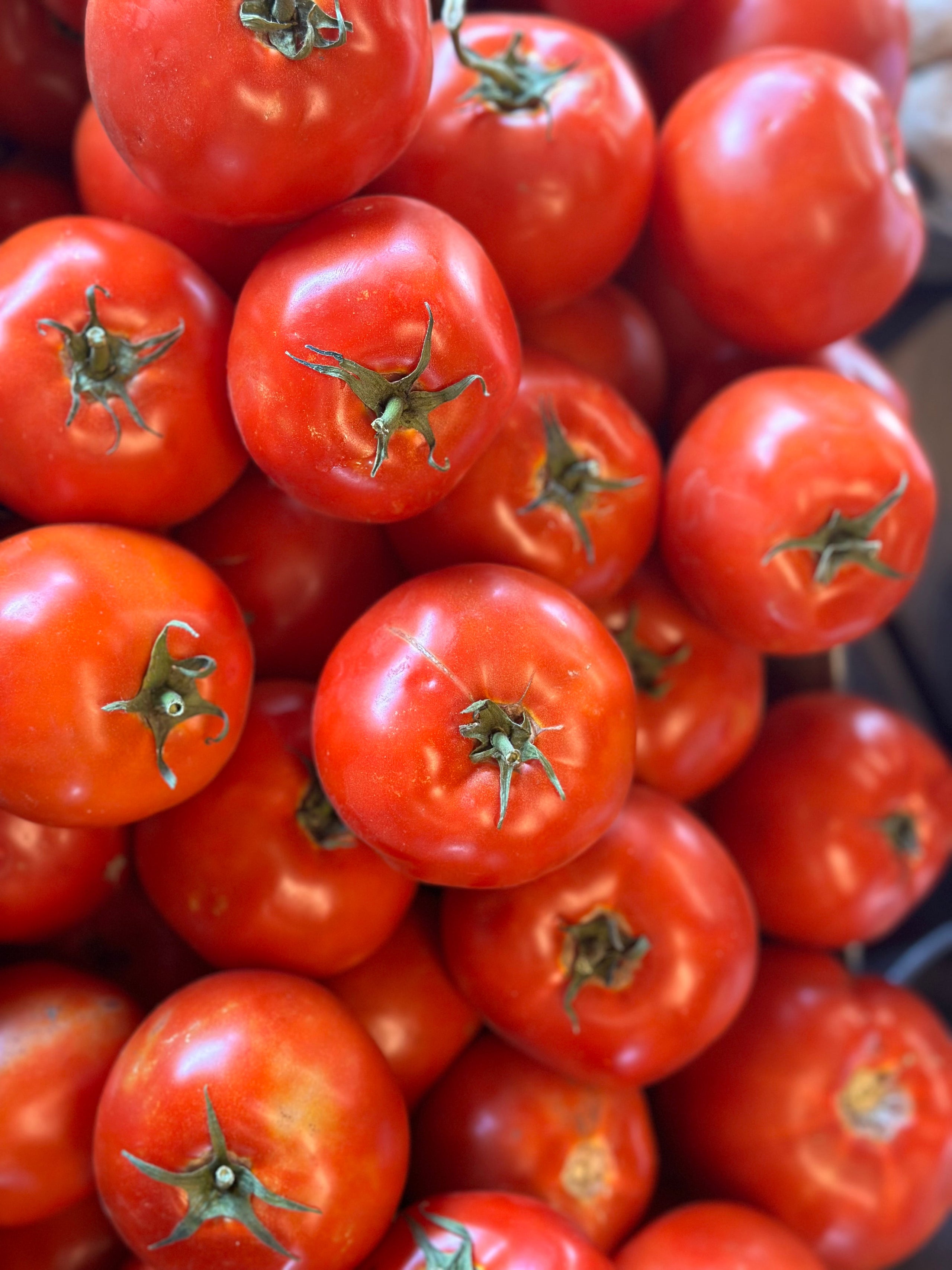 Tomatoes Price per Pound Rodin Farm, The Fruit Stand